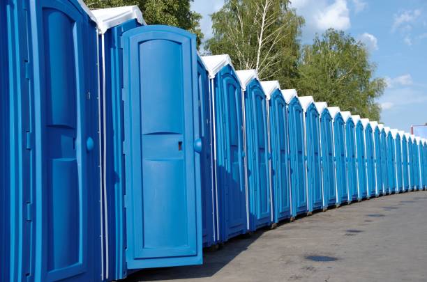 Best Sanitation services for porta potties  in Brown City, MI